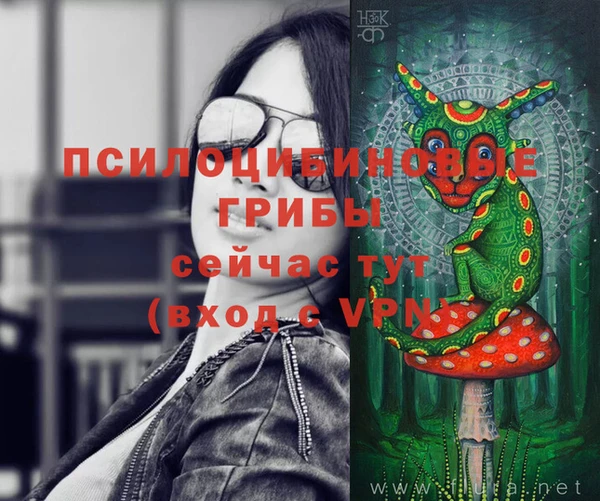 Альфа ПВП Корсаков