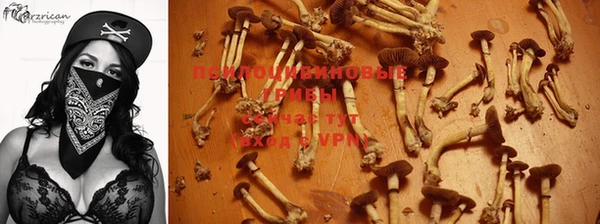 наркотики Кодинск