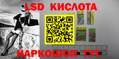 дживик Кандалакша