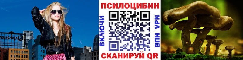Псилоцибиновые грибы GOLDEN TEACHER Кудрово