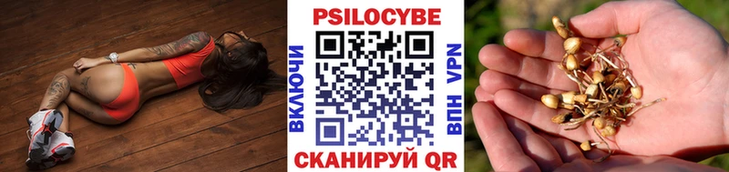 Псилоцибиновые грибы GOLDEN TEACHER  мориарти наркотические препараты  Кудрово 