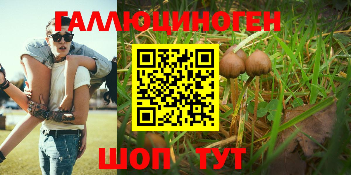 Галлюциногенные грибы мухоморы  Вход с VPN  Кудрово  Псилоцибиновые грибы Psilocybine cubensis 