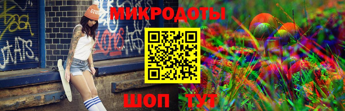 Галлюциногенные грибы Psilocybine cubensis Кудрово