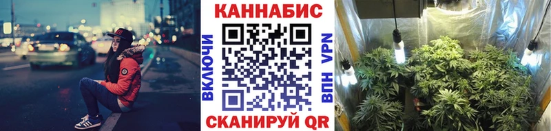 ссылка на мегу ТОР  Кудрово  Каннабис тримм 