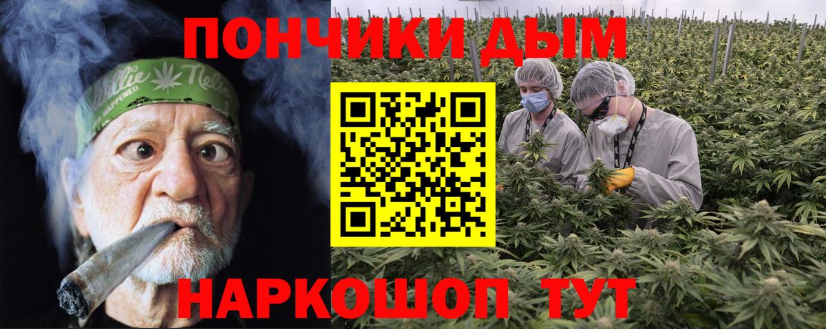 Шишки марихуана ГИДРОПОН Кудрово